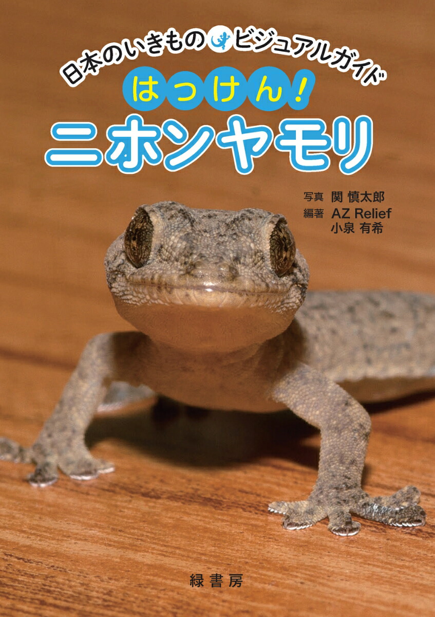 楽天ブックス 日本のいきものビジュアルガイド はっけん ニホンヤモリ 関 慎太郎 本 楽天ブックス 日本のいきものビジュアルガイド はっけん ニホンヤモリ 関 慎太郎 本
